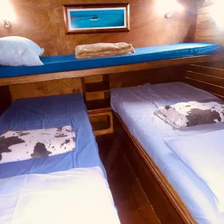 Bådhotel Oceania Boat Tour *